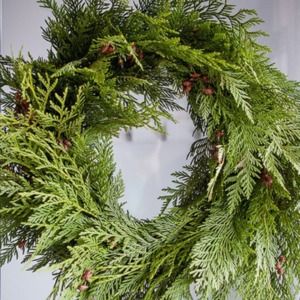 Meet your Posher, Christie